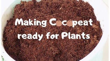 Cocopeat II Quick method II Especially for beginners