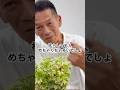 【ポリシャス】枯らしてる人多くないですか? #ポリシャス