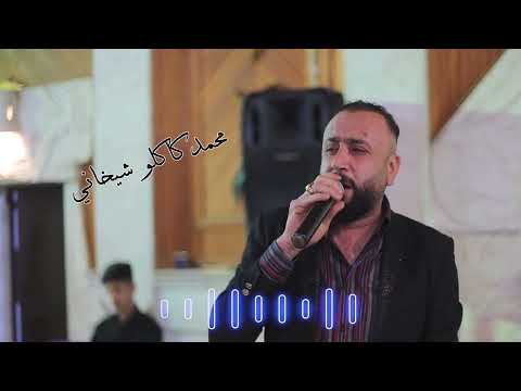 الفنان محمد كاكلو شيخاني جديد ولا اروع 2025 تصوير مالفا كروب  