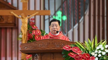 🔴Giảng Lễ  Kính Các Thánh Tử Đạo Việt Nam  | Lm Giuse Nguyễn Quốc Thắng Chánh Xứ Phao lô Tên Lửa