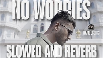 MC Insane - No Worries ( Slowed And Reverb ) | 2025 | #mcinsane #noworries #slowedandreverb 