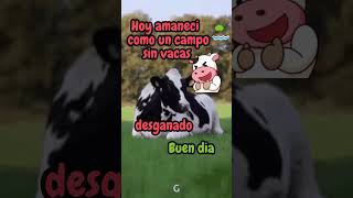 #shorts Frases de buenos dias funny , frases de buenos dias divertidas mensaje de buenos dias para #shorts Frases de buenos dias funny , frases de buenos dias divertidas mensaje de buenos dias para