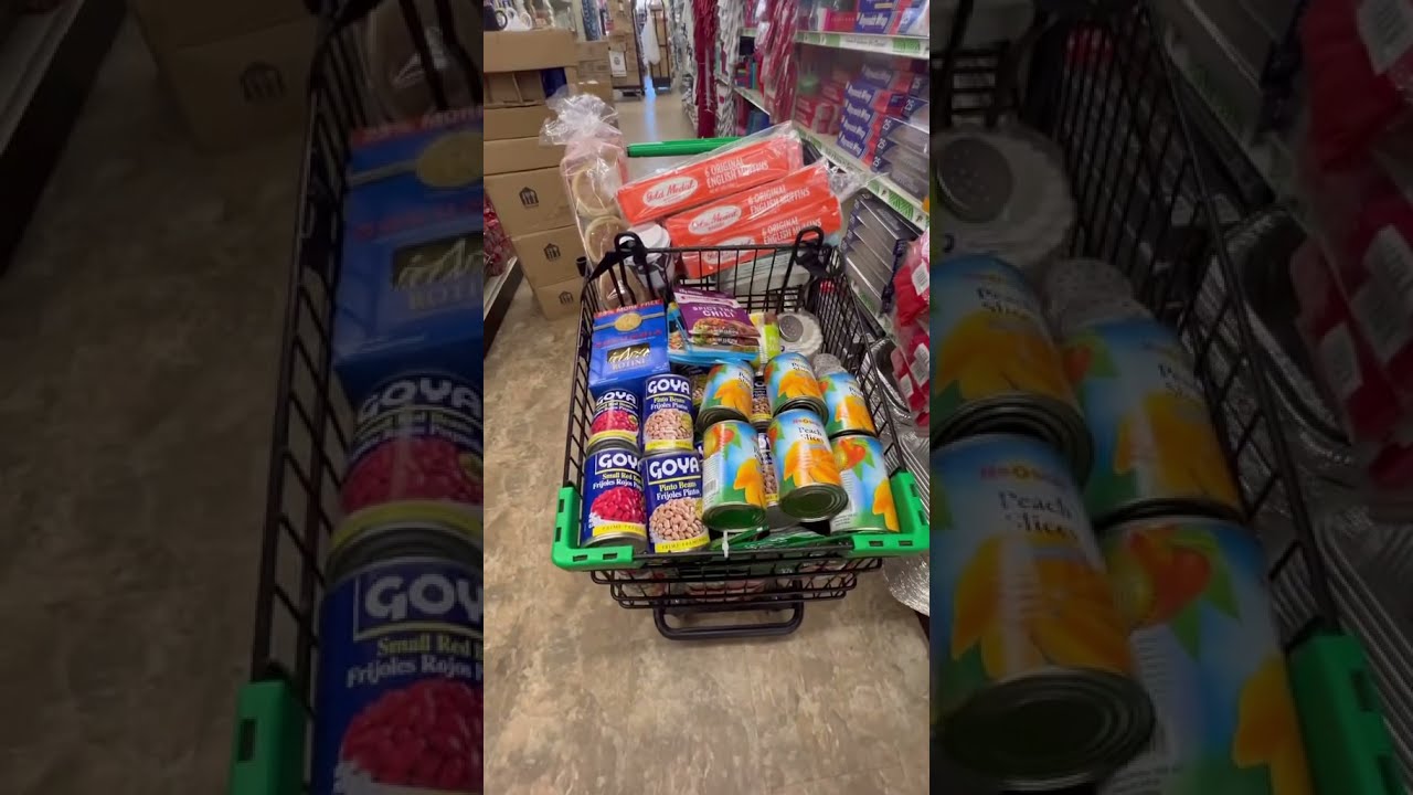 MY 1st DOLLAR TREE GROCERY HAUL MINiVLOG Justthebells10 Groceryhaul Familyvlog Dollartree