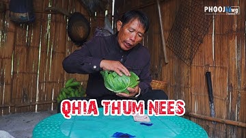 Pov Qaib Dib - Qhia Thum Tshuaj Nees