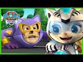 Pups And Cats Save A New Super Hero HumCatDingerMan PAW Patrol Episode Cartoons For Kids mp3