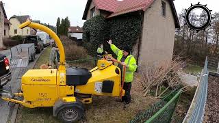 Odstranění Thuje A Sakury Včetně Pařezů