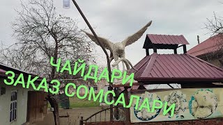 ЧАЙДАРИ ЗАКАЗ СОМСАЛАРИ CHAYDARI ZAKAZ SOMSALARI