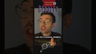 Tecâhül-i arif ve 'şakaklarımızdaki kar' #cahitsıtkıtarancı #edebiyat #cehalet