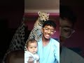 Suddenly cheetah came to see us. #foryou #ai #edit