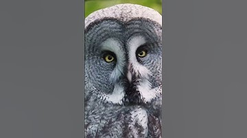 L7 - Cooler than Mars (Clip)