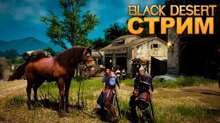 #black desert  Играем С Друзьями Проходим квесты Ивенты