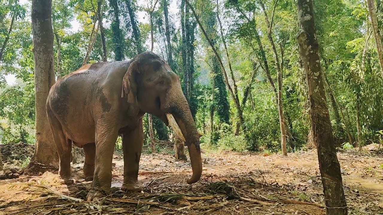 നോക്കെണ്ടാ ഉണ്ണി ഇത് ഞാൻ അല്ലാ.....