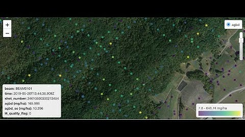 Advancing Ecological Insights: Subsetting and Visualization Tools & Services for Site-Based Research