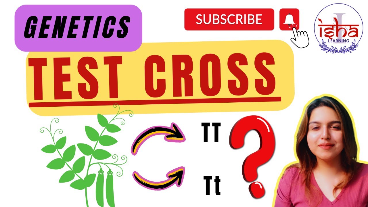 V-12 | Test Cross | Genetics series | Class 12 Biology - YouTube
