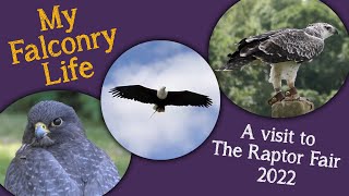 My Falconry Life | My visit to The Raptor Fair 2022 by Falconry And Me 17,534 views 1 year ago 10 minutes, 48 seconds