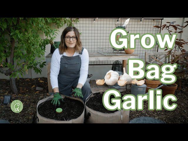 Garlic Grow Bag Kit