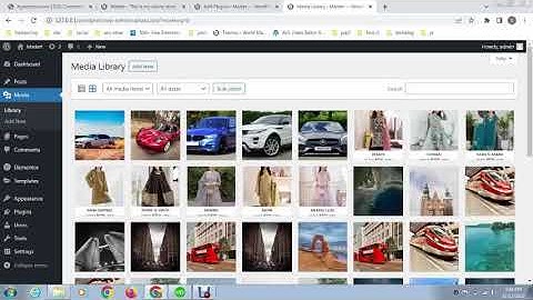 How to easily Rename Bulk Images in WordPress Website only just in 5 minutes?
