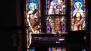 st cecilia's daily mass