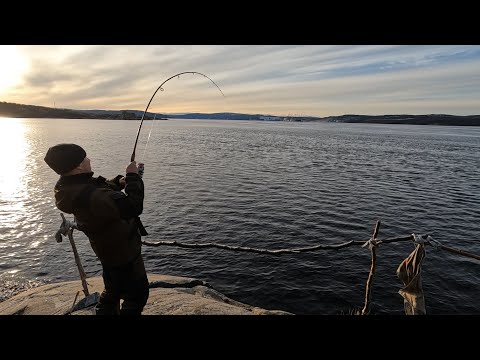 Видео: ОСЕННЯЯ РЫБАЛКА / AUTUMN FISHING