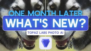 Topaz Photo AI Review (October 2022) screenshot 1