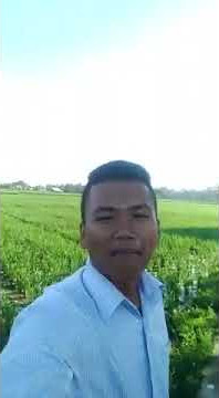 piknik ath netijen ulh digawe wae benghar hente gelo mah heeh😂