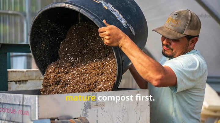 5 Secret Soil Tricks No One Talks About for Better Yields