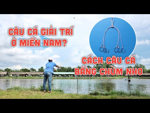 Video Câu Cá Giải Trí Ở Miền Nam Như Thế Nào | Cách Câu Cá... - youtube