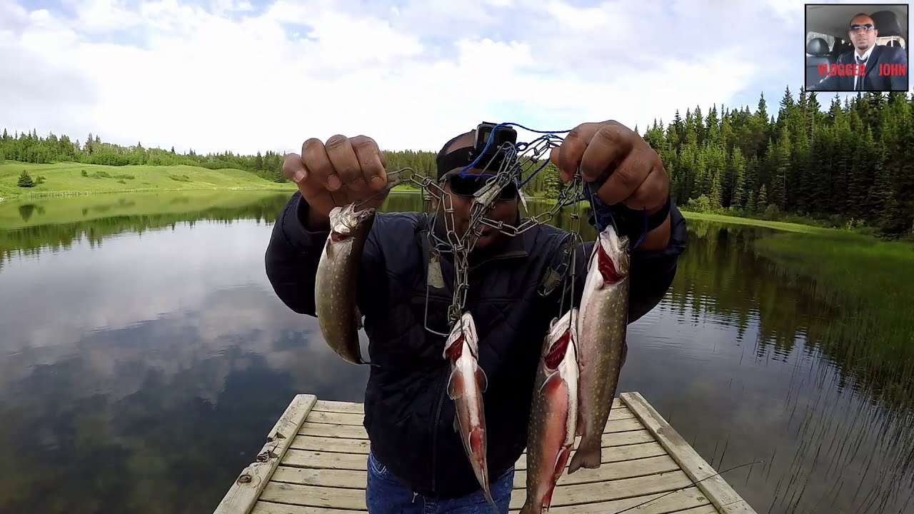 Trout fishing Catching All trout species using spoon in Alberta( best