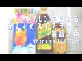 【TEA Vlog】KALDIで買えるおすすめアイスティー製品３点【thénoma】