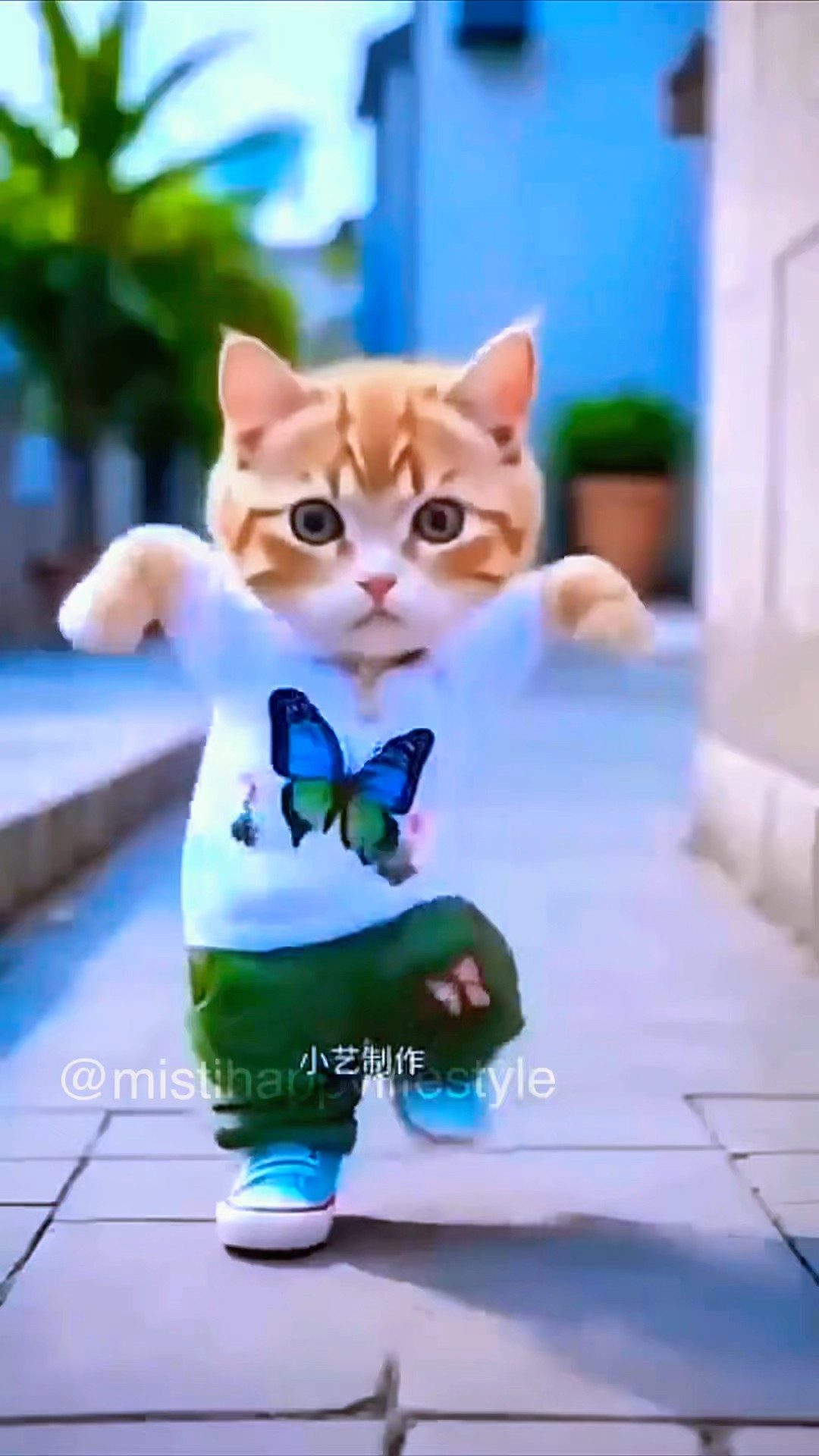 Cute Dancing Cat with dad and baby ?? #mistihappylifestyle #shorts #viral #trending #funny