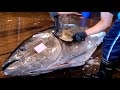 450kg Megalithic Bluefin Tuna Auction and Flawless Diamond-Sharp Precision Cuts