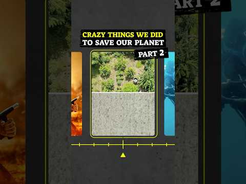 We planted 40,000 trees to turn barren land into a lush forest garden