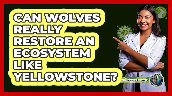 Can Wolves Really Restore An Ecosystem Like Yellowstone? - Earth Science Answers