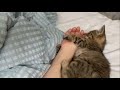 この後めちゃくちゃ蹴られます