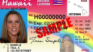 Veterans designation available for driver’s license, state ID