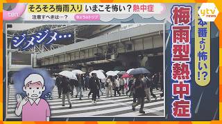 無料テレビで関西ニュースを視聴する