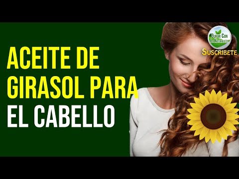 Vídeo: Aceite De Girasol Para El Cabello: Beneficios Y Formas De Usarlo