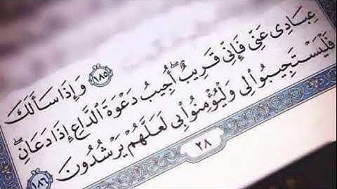 مقطع قصير من سورة البقرة حالات واتس اب ، وإذا سألك عبادي عني فإني قريب 💜.