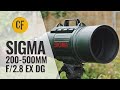 Special: Sigma 200-500mm f/2.8 EX DG 'Green Giant' lens review with samples