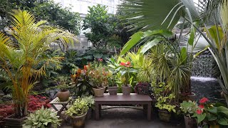 I want to go to an indoor botanical garden in winter.