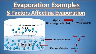 What is | Evaporation Definition , Examples & Factors Affecting Evaporation | Rate of Evaporation