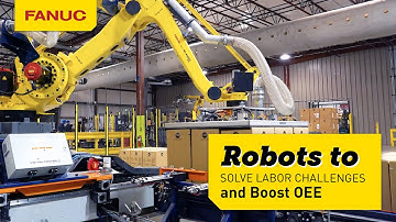 Automated Packaging System from Motion Controls Robotics