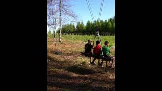 Video Thumbnail for IMG 0325