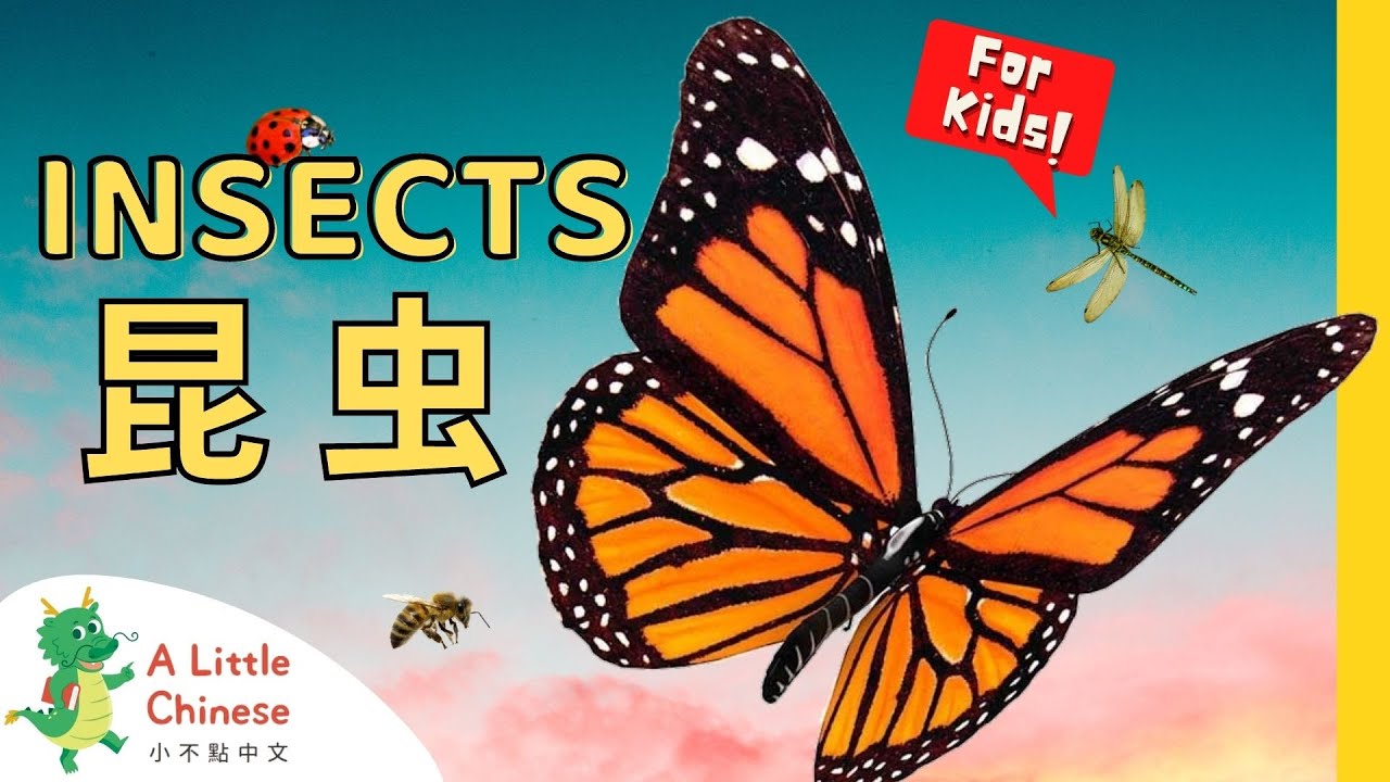 21 Insects 昆虫 | Simple Insect Vocabulary in Chinese | Learn Chinese for Kids, Toddlers, & Babies