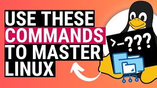 How to use the Linux File System with 5 EASY Commands.