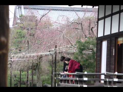 ムービー建吾.wmv