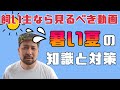 【犬の飼い主なら見るべき動画】夏の暑さ対策と知識！夏を安全に過ごすための保存版！愛犬を守れるのはあなたしかいない！