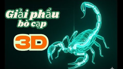 Giải Phẫu Bọ Cạp 3D – Cách Săn Mồi & Sinh Sản Thật Kinh Ngạc!