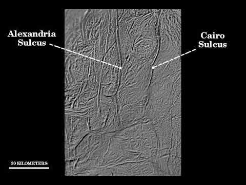 Saltiness of Enceladus’s oceans may be right to sustain life, theoretical model suggests