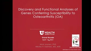 Discovering and Functional Analyses of Genes Conferring Susceptibility to Osteoarthritis (OA)